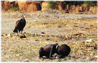 Pulitzer Prize 1994 Feature Photography 部門 Kevin Carter, free-lance photographer