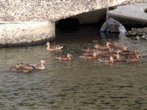 IMに近づく…