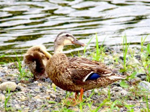 2. NM母の視線の先には…