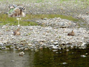 1. いつものように離れてすわる