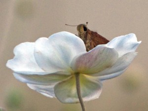 東久留米 10月3日