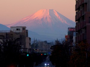 12月20日 東久留米