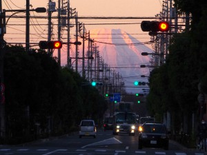富士見通 東久留米市 12月18日
