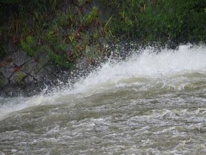 蓼倉橋 8月15日 午後1時53分