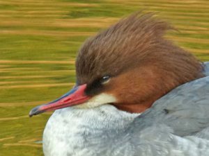 ♀0120B-L 目を…