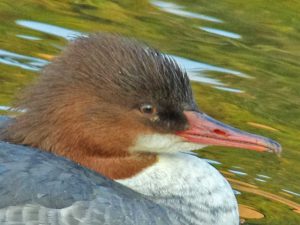 ♀0120A-R目を…