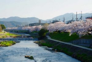河合橋から御蔭橋を望む 3月30日 出町柳