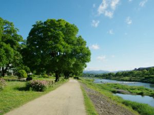 5月24日 -1