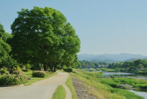 賀茂大橋下流 6月3日