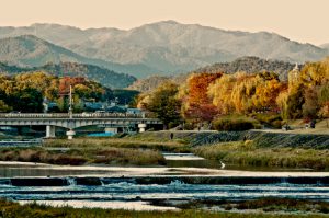 賀茂大橋 11月12日