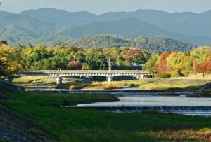 賀茂大橋 11月14日