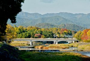 賀茂大橋 11月15日