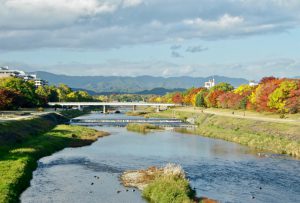 荒神橋 11月14日