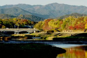 賀茂大橋 11月21日